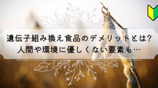 遺伝子組み換え食品のデメリットとは?人間や環境に優しくない要素も…